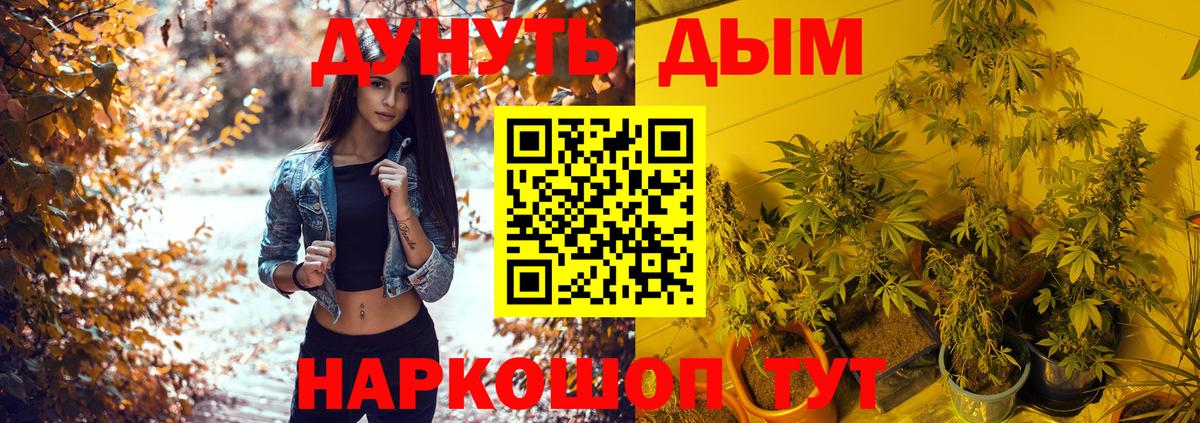МАРИХУАНА сатива  Вход с VPN  Канабис SATIVA & INDICA  Строитель 